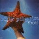 Billy Pilgrim - Bloom (EU 1995 Atlantic 7567-82751-2) CD