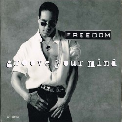 Freedom Williams - Groove Your Mind 12" Maxi Single US 1993