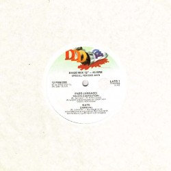 Vari - Special For Dee Jays 12" Promo DDD 12 PRM 090