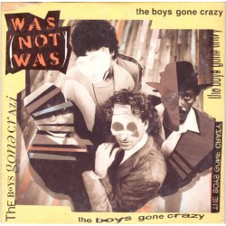 Was (Not Was) - The Boy's Gone Crazy, CD Single, custodia in cartoncino