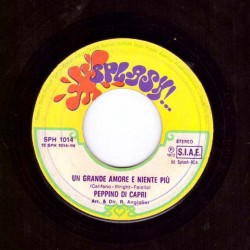 Peppino Di Capri - Un Grande Amore E Niente Più / Per Favore Non Gridare 7" 45 giri