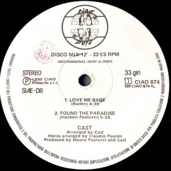 Vari - Disco Mix 12" Promo CIAO 874